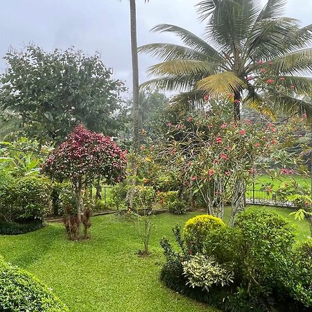 Surveyor'S Residence Bungalow Kandy Exterior foto